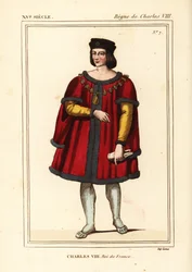 Król Francji Karol VIII, Przystojny