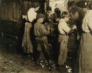 10-letni Jimmie, który opróżniał 3 lata (6 doniczek dziennie) z 11-letnim chłopcem, który opróżniał 7 doniczek w Varn und Platt Canning Co., Bluffton, Karolina Południowa, 1913