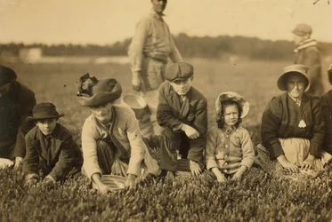 Annette Roy powiedział, że ma 7 lat, a Napoleon Ruel miał 9 lat, zbierający żurawiny w Smart