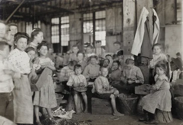 Baltimore, Maryland, lipiec 1909