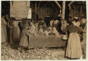 Bill May, lat 5, który zarabia 15 centów dziennie, w szopie na Barataria Canning Company, Biloxi, Mississippi, 1911 r.