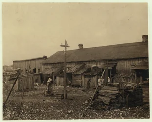Mieszkania dla około 50 pracowników Maggioni Canning Co., Port Royal, Karolina Południowa, otoczone bagnami i położone na starym kopcu muszli, 1912