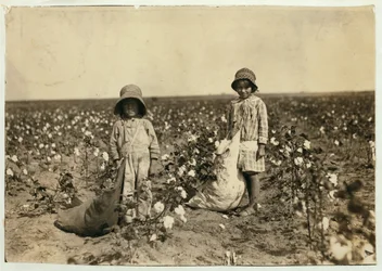 Jewel i Harold Walker, 6 i 5 lat, zbierają od 20 do 25 funtów bawełny dziennie w Geronimo, Comanche County Oklahoma, 1916