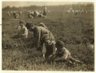 Jo Arnao 3, zbierający żurawiny z bratem 6 i siostrą 9 w Whites Bog, Browns Mills, New Jersey, 1910
