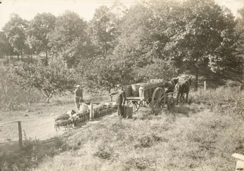 Bez tytułu, ca. 1935.