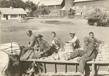 Bez tytułu, ca. 1935.