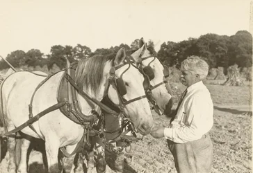 Bez tytułu, ca. 1935.