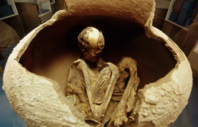 Mumia w ceramicznej urnie. Cywilizacja Atacama, paleolit.
