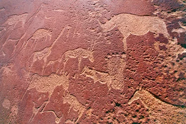 Namibia, obszar dzikiej przyrody Damaraland, Twyfelfontein, góry Brandberg, ryciny skalne z epoki kamienia