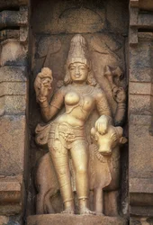 Parvathi z niedoborem ulgi, świątynia Brihadeeswara, Gangaikonda Cholapuram, Tamil Nadu, Indie
