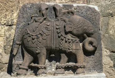 Relief przedstawiający słonia, fort Daulatabad (Devagiri), Maharashtra, Indie