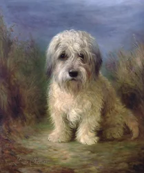 Dandie Dinmont Terrier (olej na płótnie)