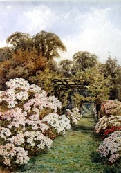Ścieżka ogrodowa (akwarela)