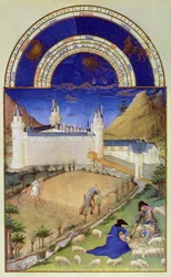 Faksymile lipca: żniwa i strzyżenie owiec, z „Très Riches Heures du Duc de Berry”
