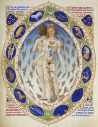Très Riches Heures księcia de Berry: Człowiek anatomiczny