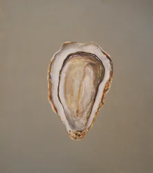 Ostryga 1