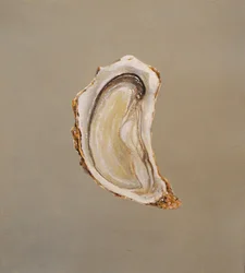 Ostryga 2