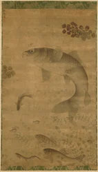 Skaczący karp, 1368-1644.