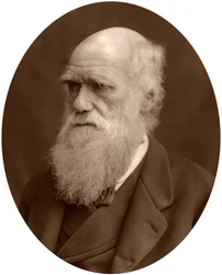 Karol Darwin, 1878.