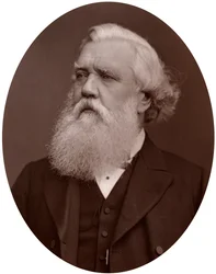Prawy Hon Austen Henry Layard DCL, brytyjski ambasador w Konstantynopolu, 1877.