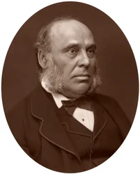 Prawy Honor William Henry Smith, poseł, 1881 r.