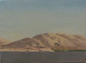 Cztery palmy na zielonym polu w pobliżu Nilu