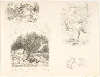 Cztery szkice ilustracji dla Skrubtoadsena, H.C. Nowe przygody i historie Andersena