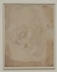 Portret łysego mężczyzny, zwróconego trzy czwarte w lewo ...