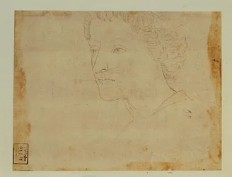 Portret chłopca z kręconymi włosami, trzy czwarte w lewo ...