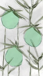 Streszczenie: Green Botanicals