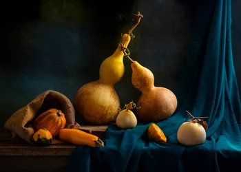 Martwa natura z jesiennymi tykwami