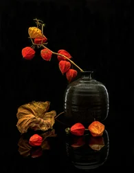 Martwa natura z jesiennymi lampionami