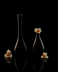 Eleganckie odbicia orchidei