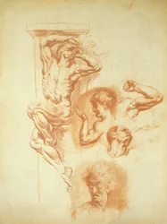 Głowa mężczyzny (sangwiniczna kreda na papierze)