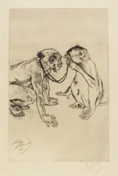 Anatomia porównawcza