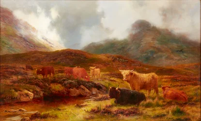 Wrzosowisko w Clachaig, Glencoe