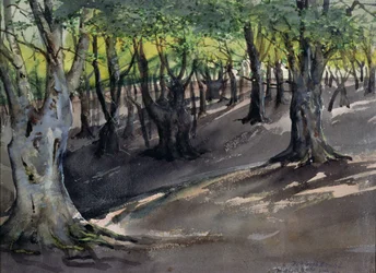 Serce lasu Epping, buk wysoki