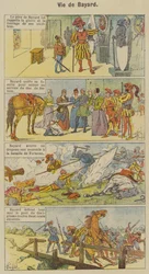 Życie Bayarda (kolor lito)