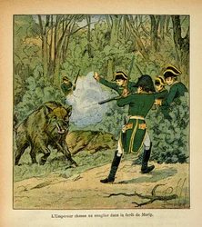 Ilustracja autorstwa Bombleda Louisa (1862-1927) z książki "Pamiątka Świętej Heleny" hrabiego Emmanuela de Las Cases (1766-1842): Cesarz Napoleon poluje na dzika w lesie Marly, zbiory prywatne