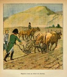 Ilustracja autorstwa Bombled Louis (1862-1927) z książki hrabiego Emmanuel de Las Cases „Memoriał św. Heleny” (1766-1842): W St. Helene cesarz Napoleon kreśli bruzdę pługa, kolekcja prywatna