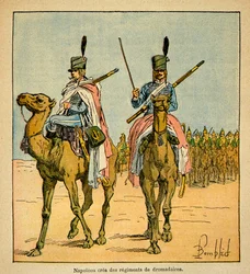Ilustracja Bombled Louis (1862-1927) z książki „Memoriał św. Heleny” hrabiego Emmanuela de Las Cases (1766-1842): Podczas kampanii egipskiej Napoleon Bonaparte stworzył pułki wielbłądów, kolekcja prywatna