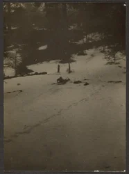 [Dziecko zjeżdżające na sankach ze wzgórza]