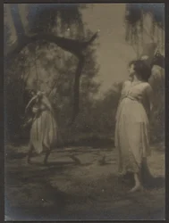 [Tancerze w ogrodzie]
