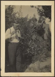 [Fleckenstein Jedzenie w ogrodzie].