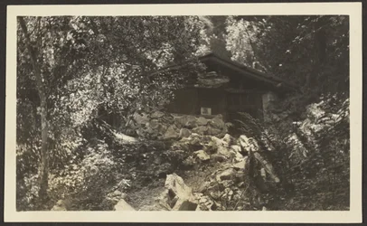 [Forest Lodge]