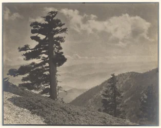 [Na grzbiecie do Old Baldy]