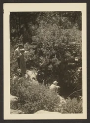 [Wiosna w Fern Valley]