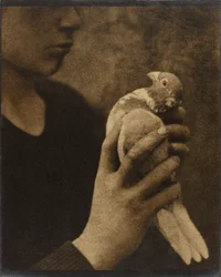 Zmęczony posłaniec