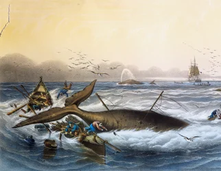 Wielorybnictwo na morzach południowych, litografia kolorowa autorstwa Louisa Lebretona (zm. 1866)