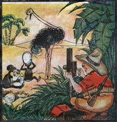 Nestora Fenleroka. (Ilustracja